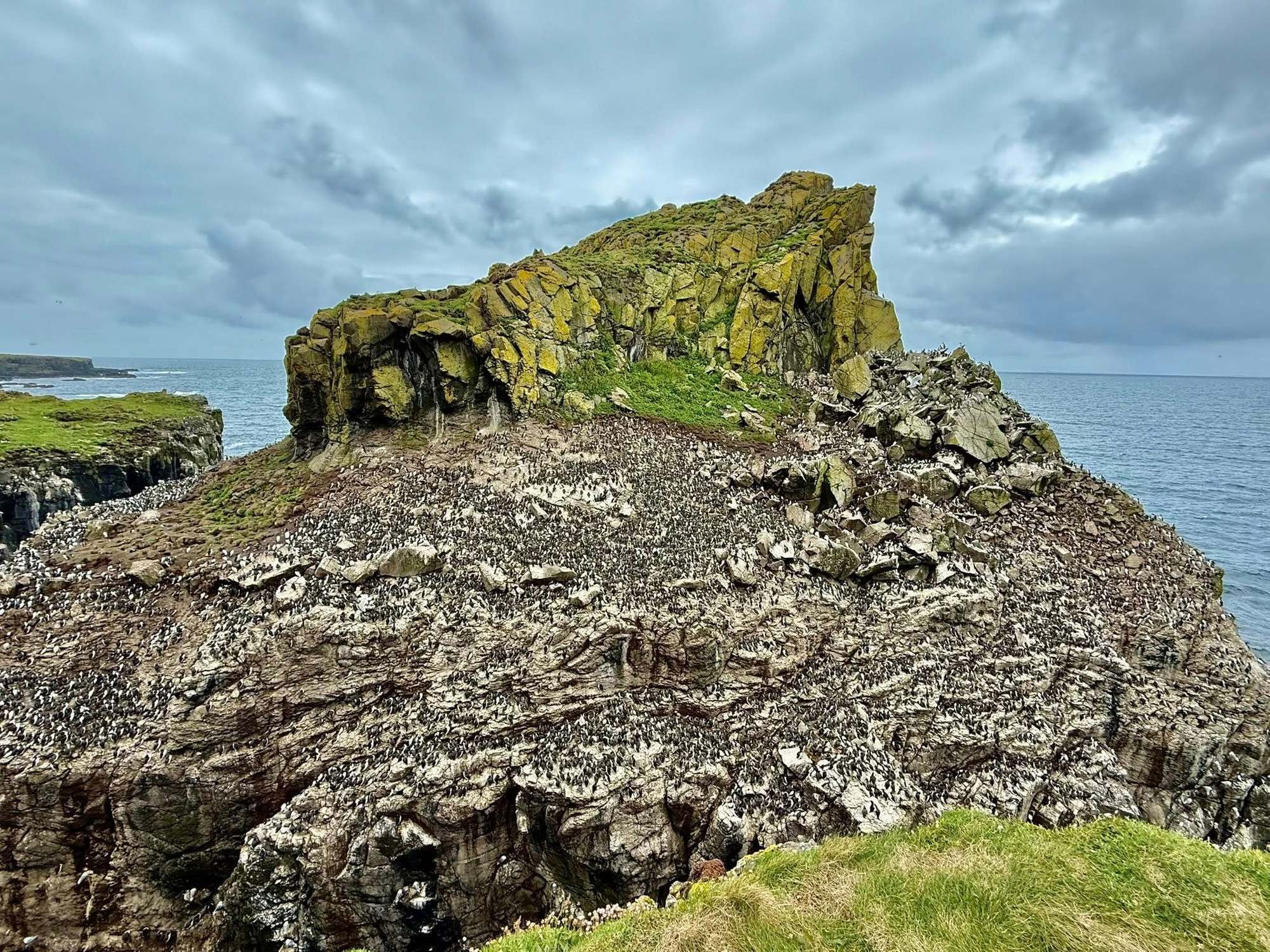Harp Rock and a few thousand odd European shags