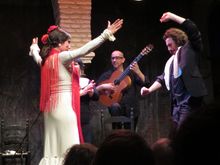 Museo del Baile Flamenco