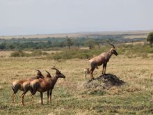 patiently waiting my turn.