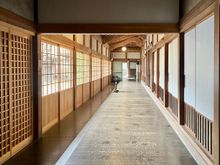 Shojoshin Temple  - the temple felt much more welcoming in the daylight