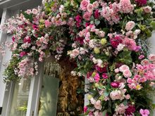 Moyses Stevens-Elizabeth Street