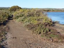River near the beach