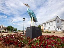 Blue Heron country  as many come here each spring.