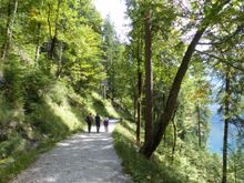 Beautiful, easy walk about 7 km