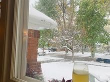 It has been snowing since about 4 am and hasn’t quit.  Snow and a French 75. 