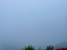 Same mountain angle as post #40 but the marine layer has rolled in this morning covering most of my views.  It's pretty otherworldly when it gets like this. 





