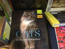 Found ziggy’s Christmas gift...