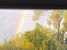 Best New Year’s hopes from rainy Tucson!