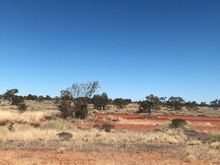 Our wide brown land. 