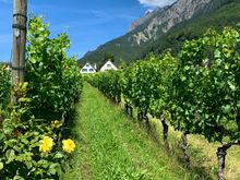 Had a wine tasting here
