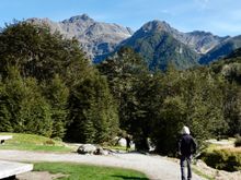 Routeburn Track near Glenorchy, NZ