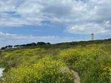Hiking along wildflowers.
