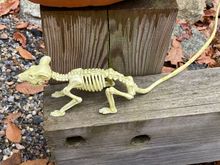 Another friend got Adey’s mosaic bird. 