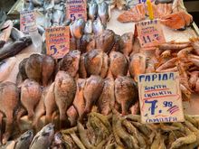Athens Fish Market