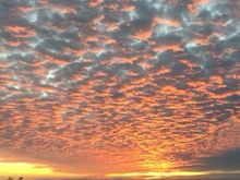 January 27, 2021  Newport Beach, CA