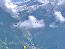 Hang gliders everywhere!