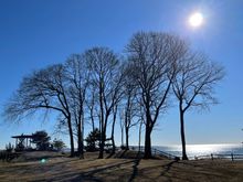 Glorious weather today