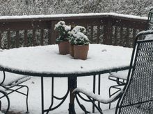 I didn’t want Kureiff to think she’s the only one who has that white stuff. This was Monday. By Thursday it was in the 70’s. Today was sweatshirt weather. Illinois, where we can enjoy 4 seasons in one week. 