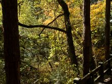 The park has decent infrastructure but the throngs are massive. More than once,  groups tried to elbow us out of the way.