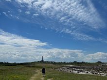 I am having a great time walking everyday..