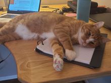 She’s having a bit of a problem. 