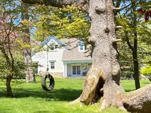 I stopped over at my neighbors who have been in upstate NY at their farm for the duration. They have a pool I’m allowed to use so I wanted to check it out. 