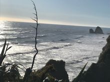 Coast road between Greymouth and Westport 