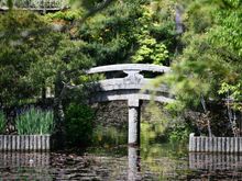 A perfect example of a beautiful garden scene at Ryoanji