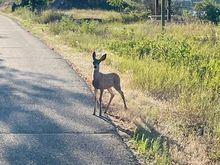 Bike ride tonight along the Missouri. 