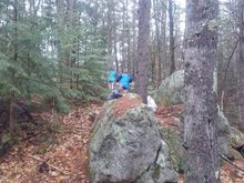 DH put William's basket in an easy spot. The GDs had to hike a little further. Fortunately DS was the avid photographer while I stayed dry in the jeep. Fortunately baskets fit in garbage bags.