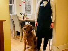 Our essential worker just got home (pictured with Bad Molly).