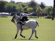 Gorgeous weather and 500 horses to choose from