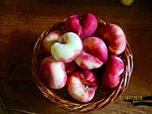 flat peaches for ice cream