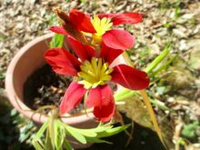 Have no idea what this is; it just popped up yesterday