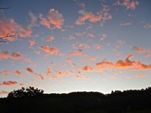 Bonus pictures of sunset yesterday