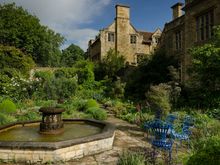 Kiftsgate had a modest cafe and a modester gift shop. Shoots and plants were for sale out front.