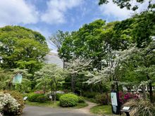 Beautiful Hibiya Park