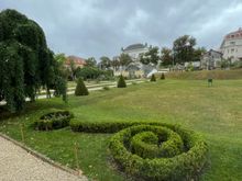 Green Horseshoe