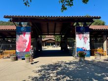 Teagan Library in Simi Valley 