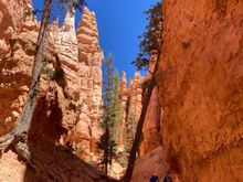Hiking up on Navajo loopl at Bryce 