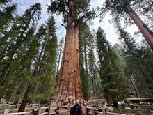 One of the most famous ones.