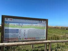 PLAYA DEL PALMAR is a certified BLUE FLAG beach..one of about 115 in Andalucia, certified for their cleanliness, clarity of water, and other factors