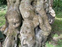 I'm sure this was somehow featured in Game of Thrones