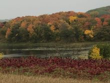 small panoramic shot of a hill side.