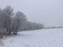 other side of the same field