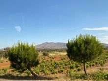 Drive to the airport from Avra Hotel