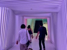 The "woo-woo" lighted tunnel within the Parliament Building.