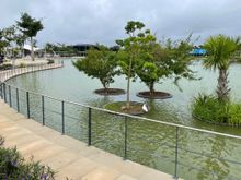 There is also a small lake and this area will have a shuttle connection to Tren Maya.