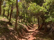 DH lost his hat near here - and I went back and found it!