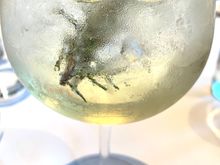 Limoncello spritzer